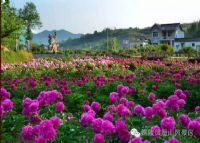铜陵凤凰山