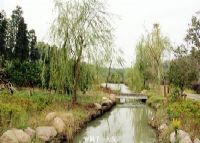 文溪坞