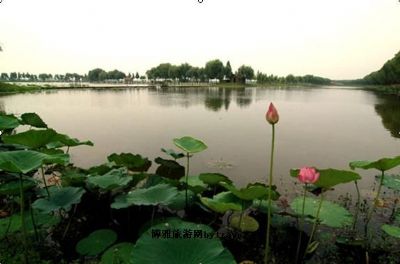 洪湖蓝田生态旅游风景区