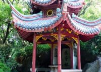 棋子枰