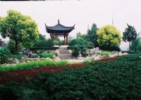 纵棹园
