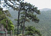 武汉龙泉山风景区