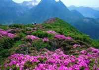 卯山