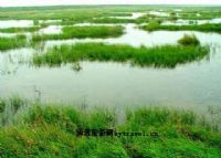 龙湖湿地风景区