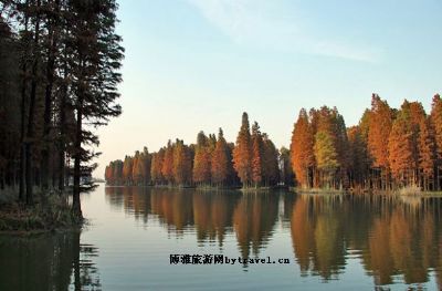 水上森林公园