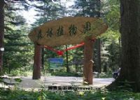 桶子沟原始天然红松母树林景区
