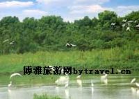 白鹭谷