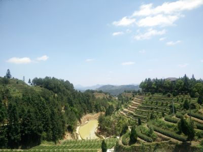 安溪华祥苑生态茶庄园
