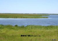 苇场湿地丹顶鹤自然保护区