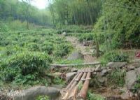 陶元岭古道