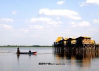 金河旅游公园