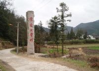 陈宅七星村