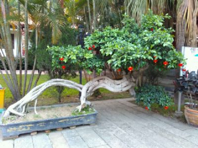 漳州百花村