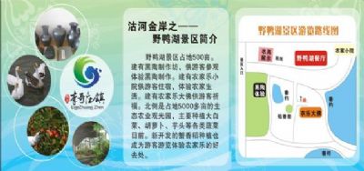 胶州市李哥庄镇