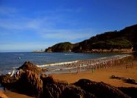 晴川海滨