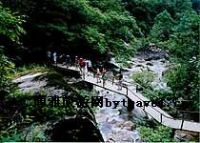 青龙山森林公园