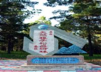 国家樟子松母树林基地