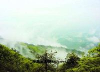白云峰风景区