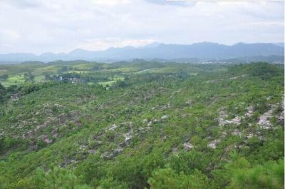 宁化县水土保持科教示范园