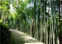 牛姆林生态旅游区