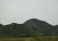 老黑山