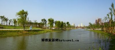 临港中央公园