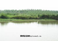 官桥城子古文化遗址