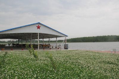 兴业农场