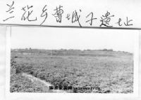曹王城子古文化遗址