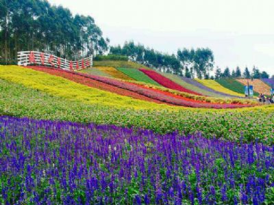 十里蓝山