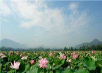 修竹村
