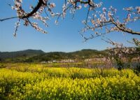 沼山乡村公园