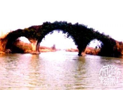 种德桥