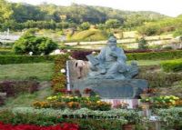 茶都公园
