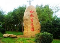 哈尔滨松柏生态园
