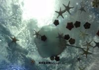 青岛水族馆（青岛海产博物馆、青岛海洋科技馆）