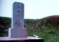 依兰土城子遗址