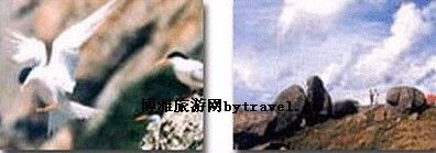 灵昆岛
