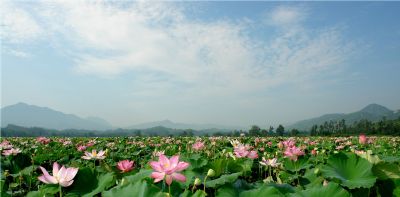 修竹村