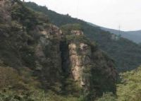 武汉九峰山国家森林公园