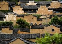 杨家堂村