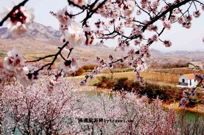九上沟生态园