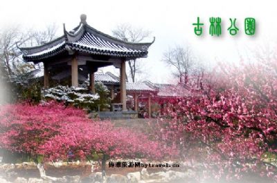 南京古林公园