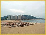 大连星海浴场