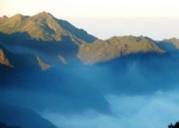 连城梅花山