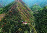观音沟生态文化旅游区