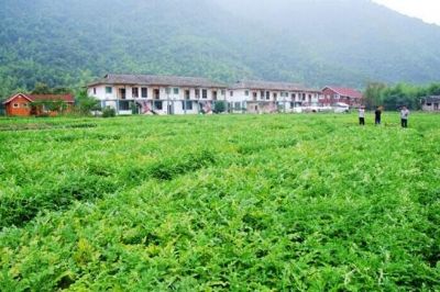 赤溪村