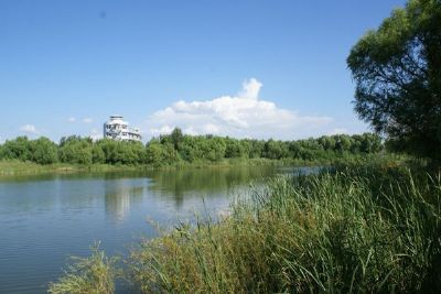 吉林大安嫩江湾国家湿地公园