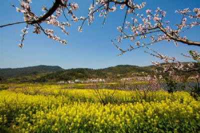 沼山乡村公园