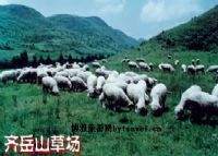 齐岳山草场